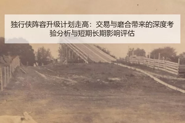 独行侠阵容升级计划走高：交易与磨合带来的深度考验分析与短期长期影响评估